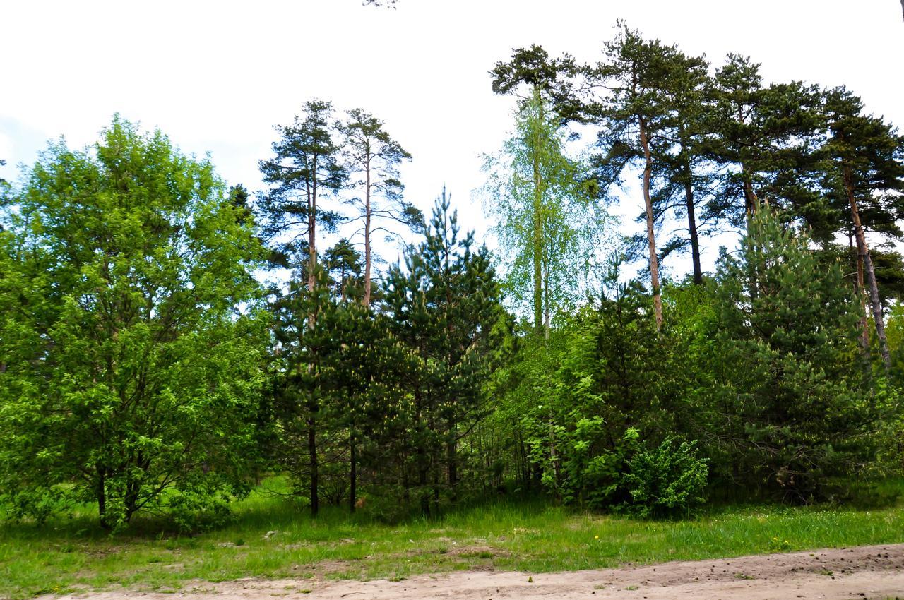 Vandrarhem Maenniku Jk
